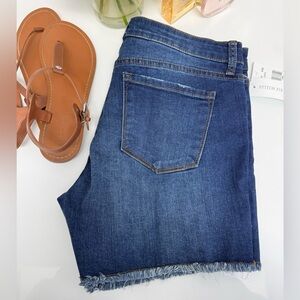 STS Blue Aubrey Denim Shorts